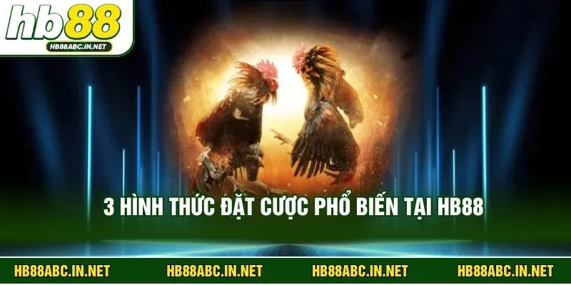 3 hình thức đặt cược phổ biến tại HB88