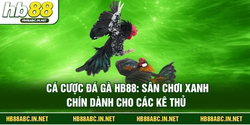 Cá Cược Đá Gà HB88