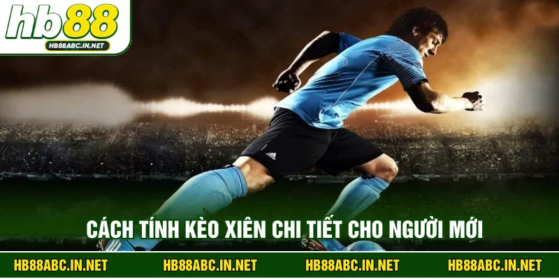 Cách tính kèo xiên chi tiết cho người mới 