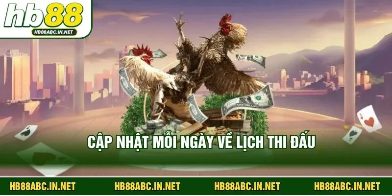 Cập nhật mỗi ngày về lịch thi đấu