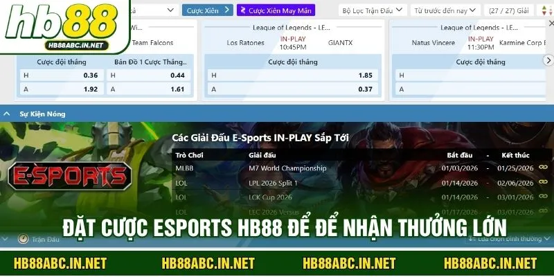 Đặt cược esports HB88 để để nhận thưởng lớn