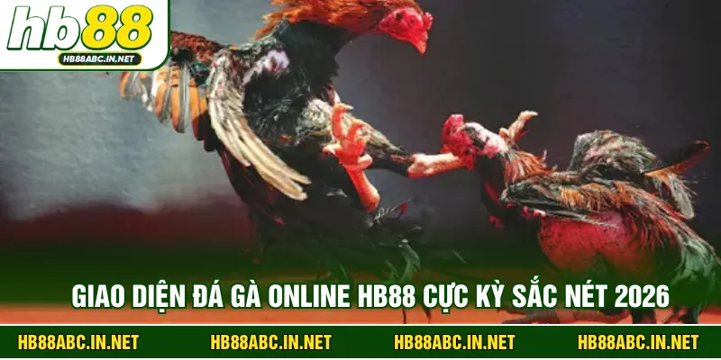 Giao diện đá gà online HB88 cực kỳ sắc nét 2026
