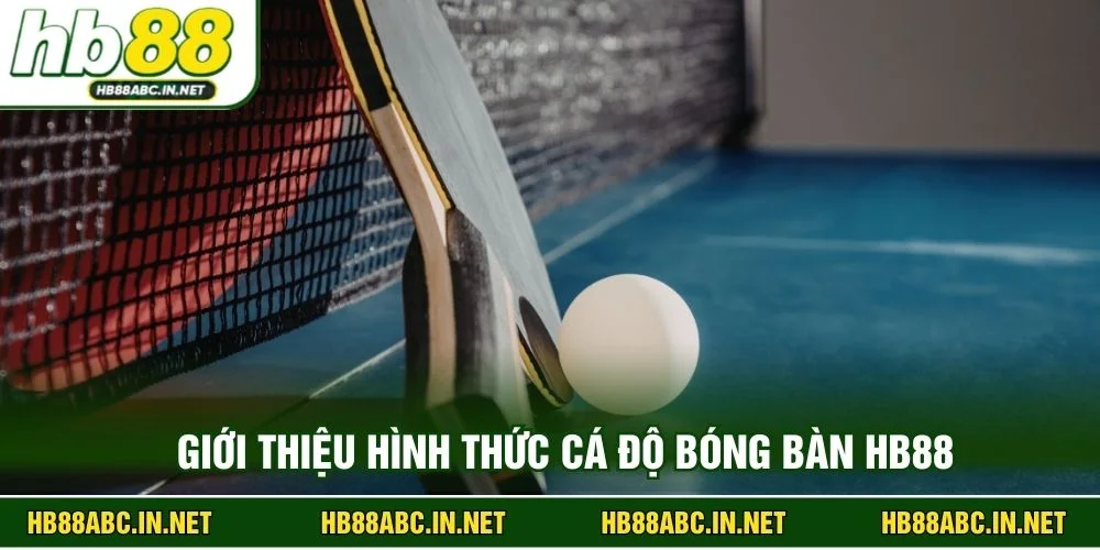 Giới thiệu hình thức cá độ bóng bàn HB88