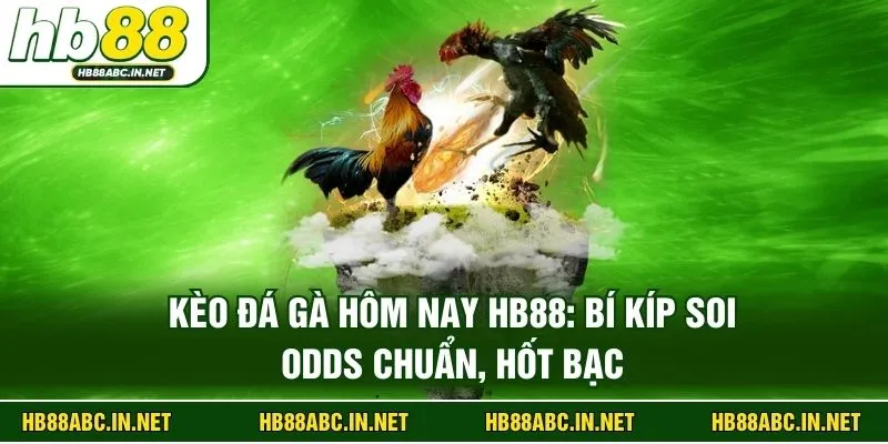Kèo Đá Gà Hôm Nay HB88