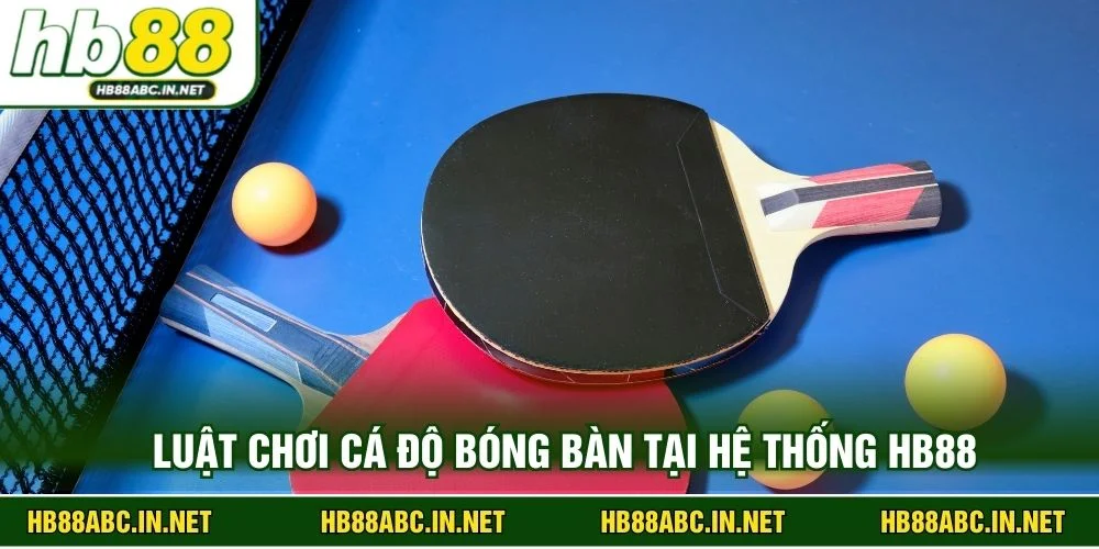 Luật chơi cá độ bóng bàn tại hệ thống HB88