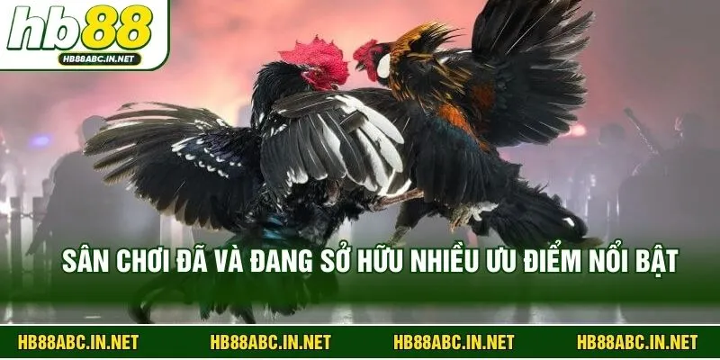 Sân chơi đã và đang sở hữu nhiều ưu điểm nổi bật