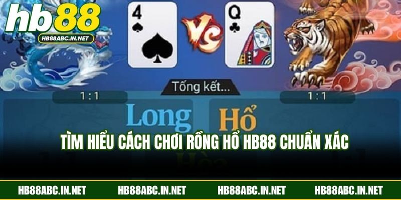 Tìm hiểu cách chơi Rồng Hổ HB88 chuẩn xác