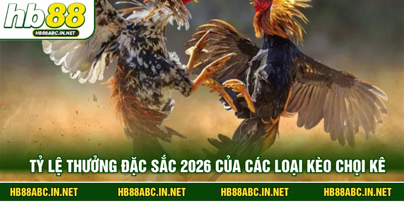 Tỷ lệ thưởng đặc sắc 2026 của các loại kèo chọi kê